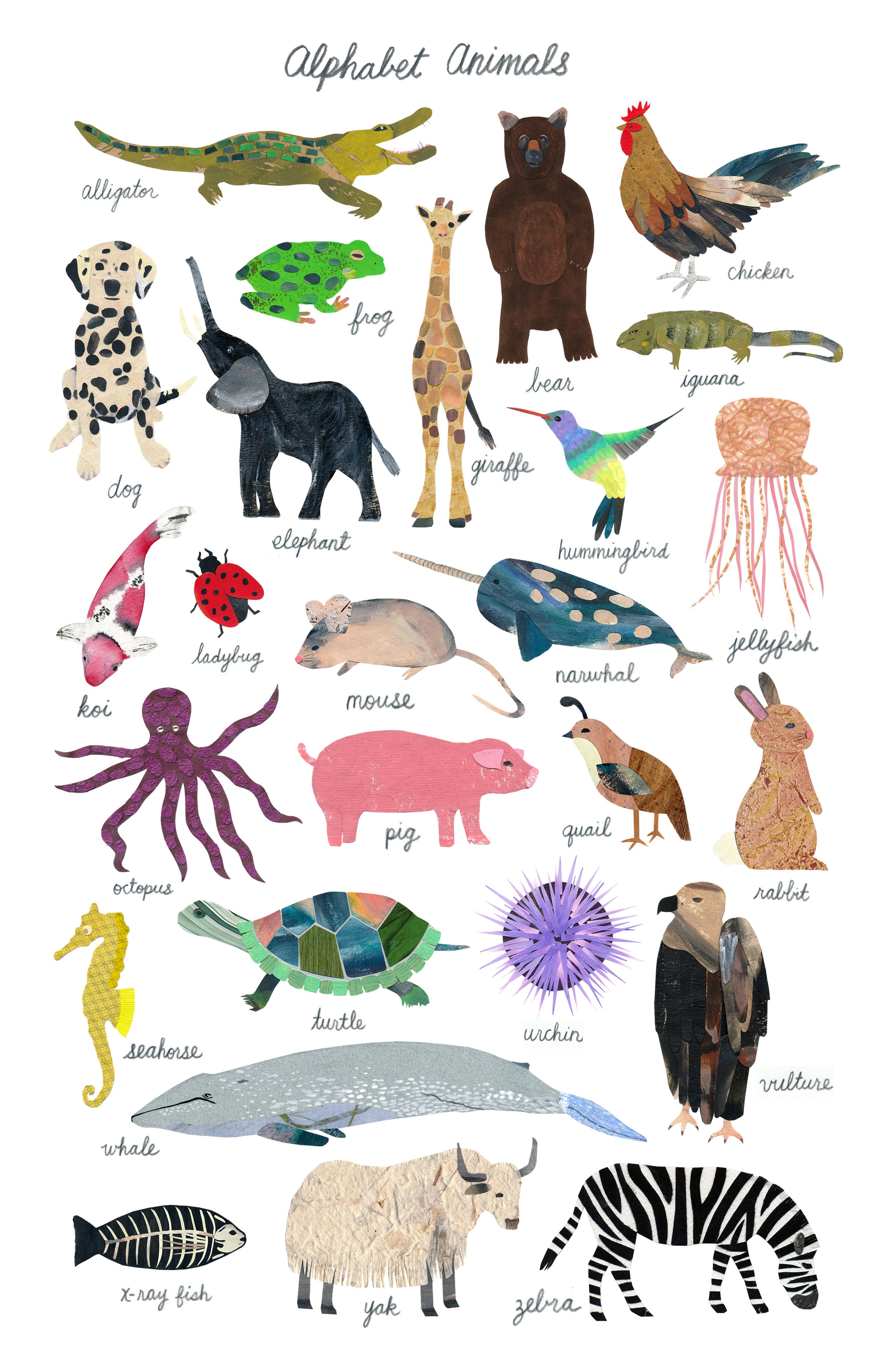 Alphabet hotsell Animals